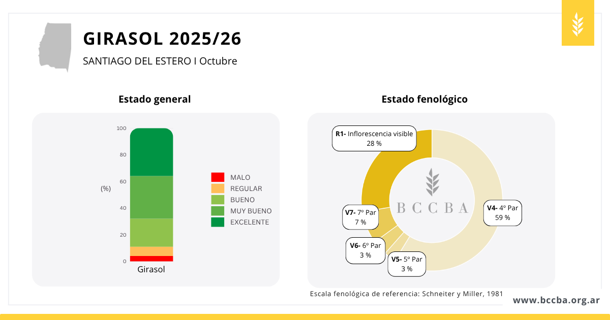 Gráfico

El contenido generado por IA puede ser incorrecto.