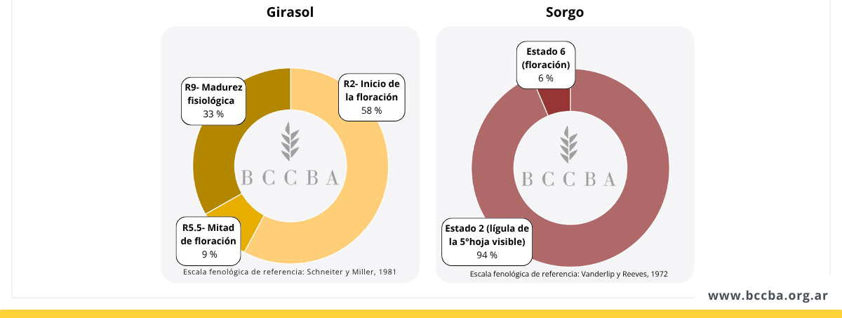 Imagen que contiene Diagrama

El contenido generado por IA puede ser incorrecto.