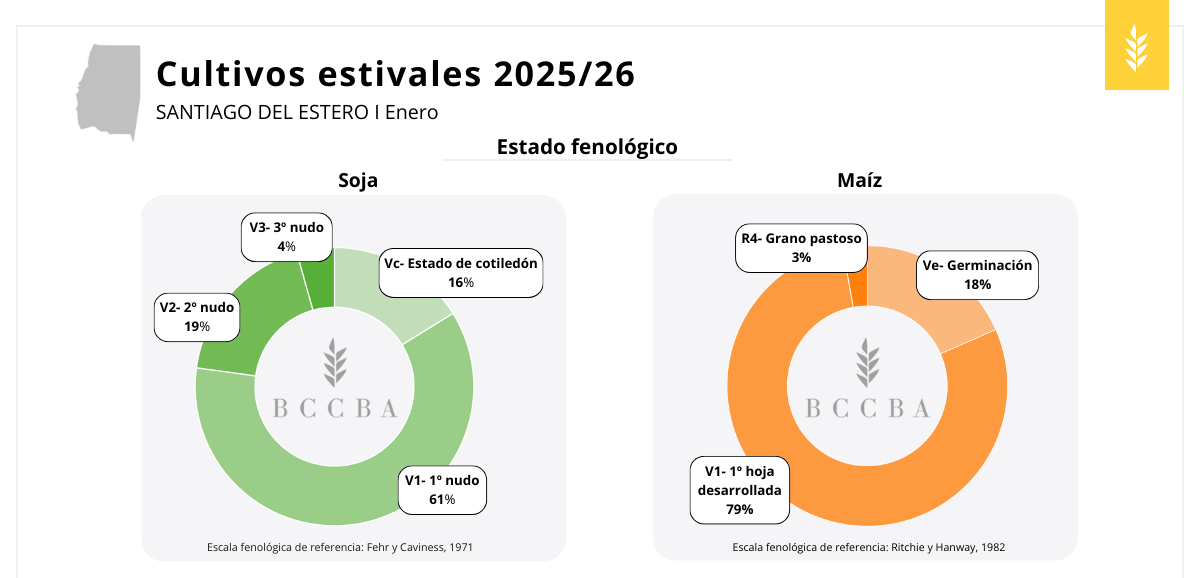 Diagrama El contenido generado por IA puede ser incorrecto.
