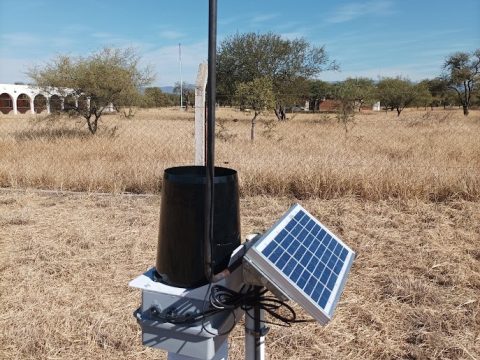 WhatsApp Image 2025-07-15 at 10.52.36 AM